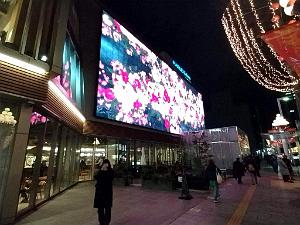 NAGOYA - Centre Ville et Vie Quotidienne - Janvier 2024 - 098
